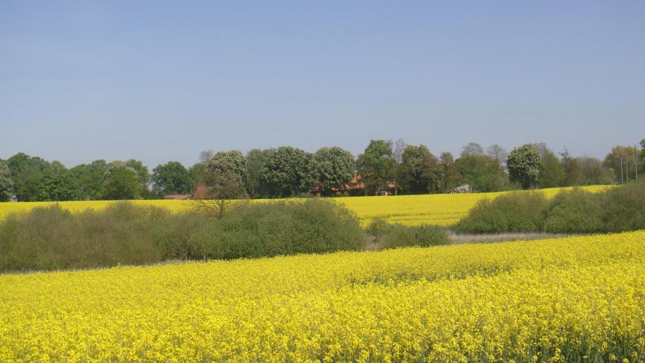Kleine Auszeit - Natur Und Erholung In Mecklenburg Reimershagen Exterior photo
