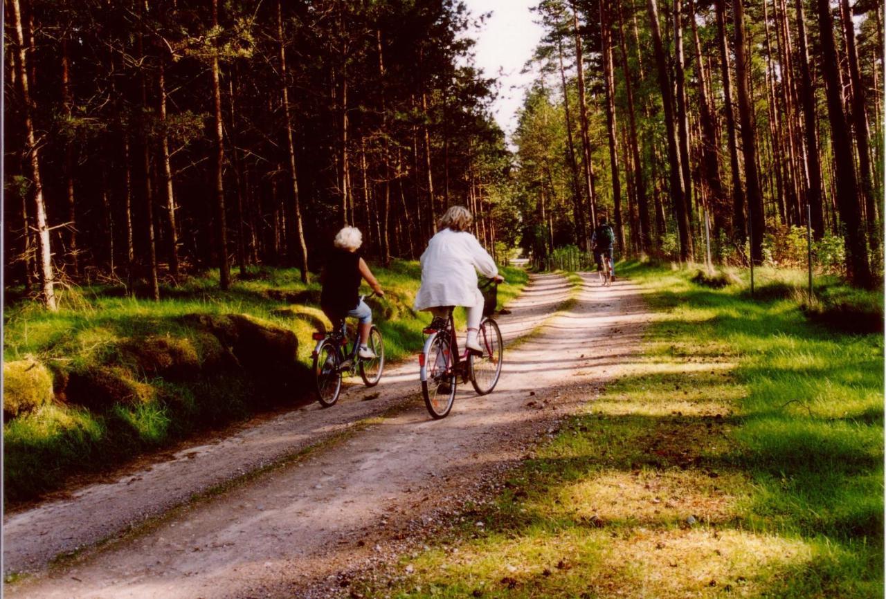 Kleine Auszeit - Natur Und Erholung In Mecklenburg Reimershagen Exterior photo